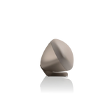 Bowers & Wilkins Zeppelin ProEdition