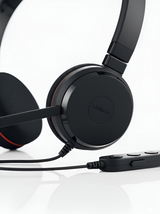 Jabra Evolve 20 Stereo Headset with Noise Canceling Mic | Connect to Mobile/Tablet via USB-C/A | Lightweight Headband