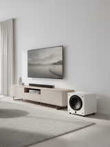 Velodyne Impact X 10 - Black/White